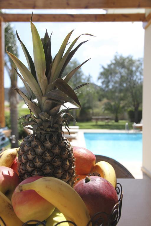 Eve Pissouri Rozaki Villa Habitación foto